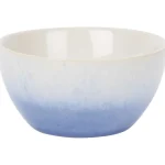 Clearance Merk Aardewerk Schaal Meerkleurig