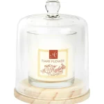 Best Candra Absolu Chic Geurkaars In Stolp