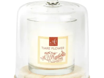 Best Candra Absolu Chic Geurkaars In Stolp