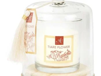 Best Candra Absolu Chic Geurkaars In Stolp