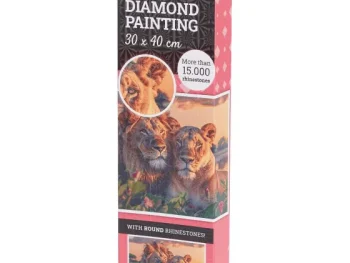 Fashion Disney Avec Diamond Painting Meerkleurig