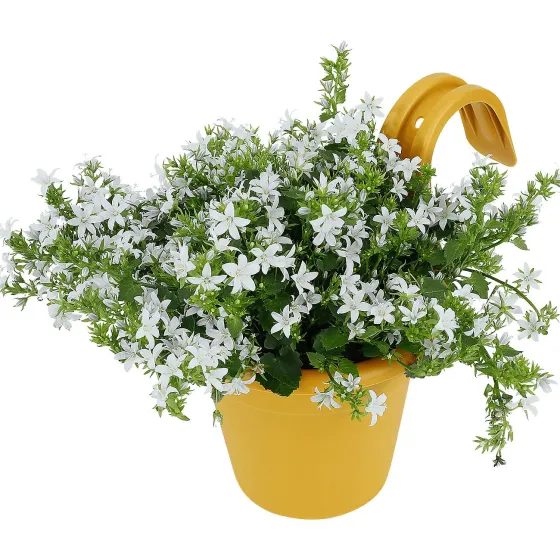 balkonbloempot-wMkXviyN-2.webp Best Merk Balkonbloempot Beige,Groen,Geel