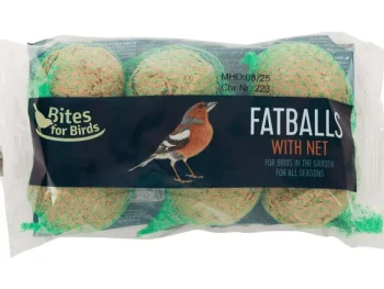 New Bites For Birds Vetbollen Beige,Meerkleurig