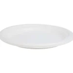 New Merk Borden Van Bagasse Wit
