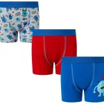 boxershorts-BFQCHfvg-0.webp