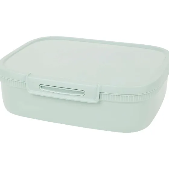 curver-lunchbox-ZJoYKyOD-2.webp Best Curver Lunchbox Blauw,Grijs,Groen,Roze