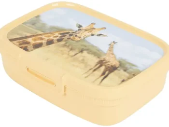 Clearance Curver Lunchbox Met Print Blauw,Geel,Groen,Roze