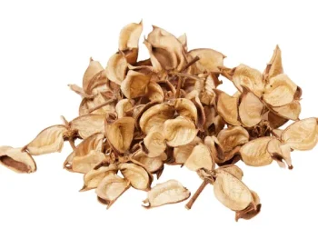 Online Merk Decoratieblaadjes Beige,Geel,Groen,Roze,Wit