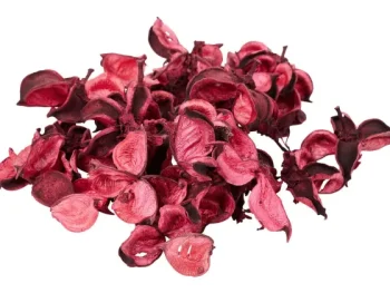 Online Merk Decoratieblaadjes Beige,Geel,Groen,Roze,Wit