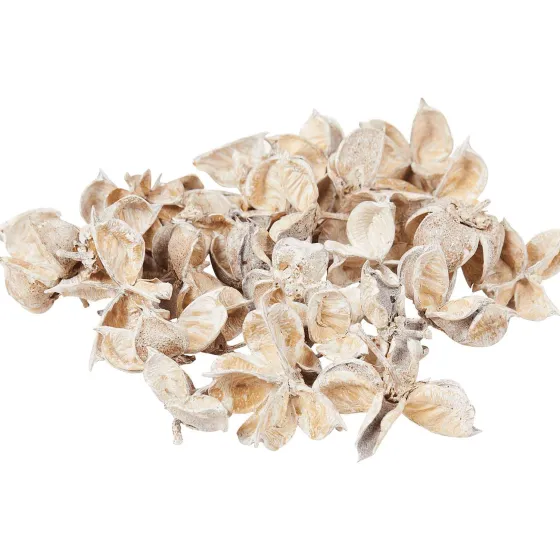 decoratieblaadjes-qsqHGbXD-3.webp Online Merk Decoratieblaadjes Beige,Geel,Groen,Roze,Wit