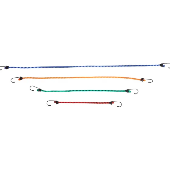 elastieken-binders-met-haken-VdKcztew-1.webp Outlet Walfort Elastieken Binders Met Haken Meerkleurig