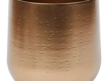 Best Merk En Bloempot Goud