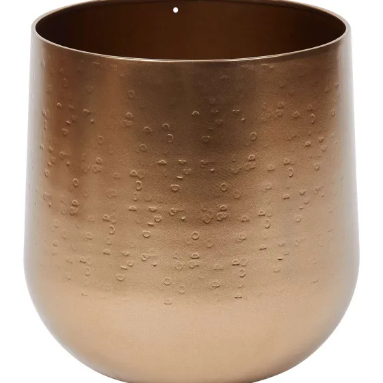 en-bloempot-tgtxPEJz-0.webp Best Merk En Bloempot Goud