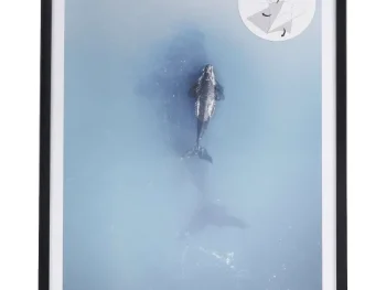 Fashion Merk Fotoframe Met Posters Bruin,Zwart