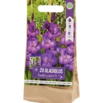 Sale Green Boots Gladiolen Bloembollen