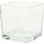 Fashion Merk Glazen Accubakje Transparant