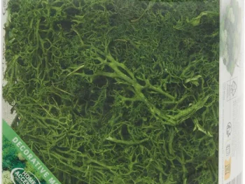 Online Merk Home Accents Decoratief Mos Groen