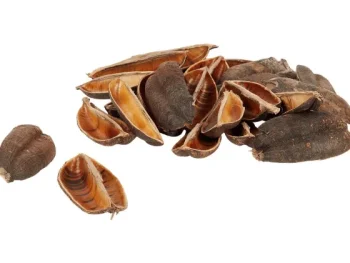 Discount Merk Home Accents Decoratiemateriaal