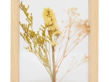 Sale Merk Home Accents Fotolijst Met Droogbloemen Beige,Meerkleurig