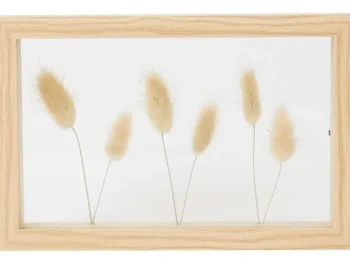 Fashion Merk Home Accents Fotolijst Met Droogbloemen Beige