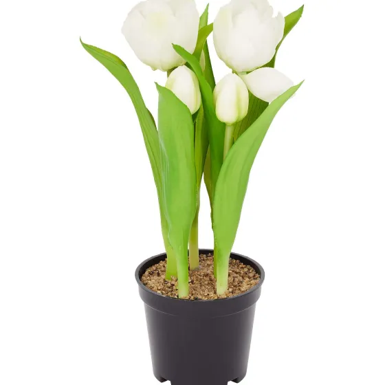 home-accents-kunsttulpen-in-po-kTgsfkxx-0.webp Sale Merk Home Accents Kunsttulpen In Pot Geel,Meerkleurig,Rood,Roze,Wit