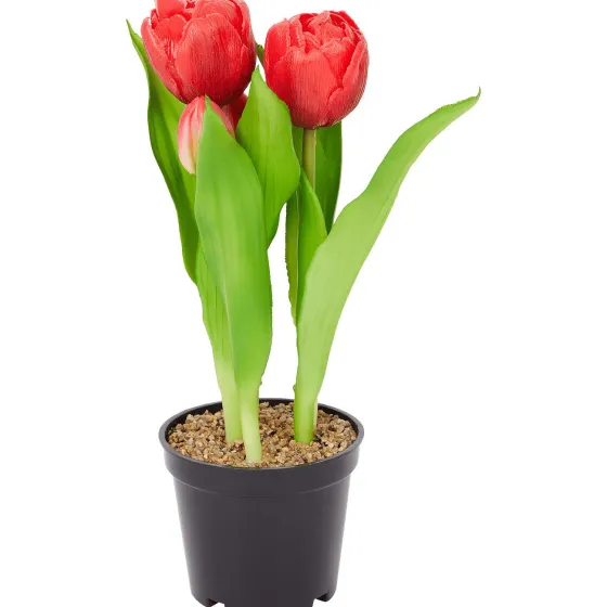 home-accents-kunsttulpen-in-po-kTgsfkxx-1.webp Sale Merk Home Accents Kunsttulpen In Pot Geel,Meerkleurig,Rood,Roze,Wit