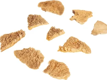 Clearance Merk Home Accents Natural Droogmix