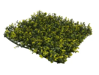 Fashion Merk Kunsthaag Groen