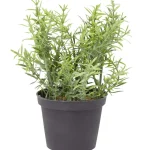 Sale Merk Kunstkruidenplant