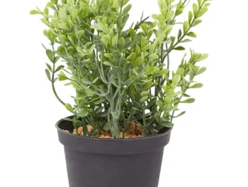 Sale Merk Kunstkruidenplant