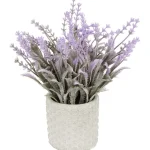kunstlavendel-in-pot-kgmEvdnq-0.webp