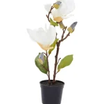 kunstmagnolia-in-pot-sbmQizvb-0.webp