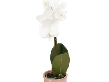Clearance Merk Kunstorchidee In Pot Roze,Wit