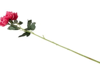 Fashion Merk Kunstpioenroos Op Steel Roze,Wit