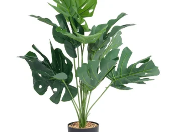 Fashion Merk Kunstplant Wit,Zwart