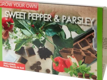 Sale Green Boots Kweekset