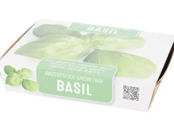 Outlet Green Boots Mini-Kweekset