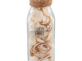Discount Merk Schelpen In Glazen Fles Meerkleurig