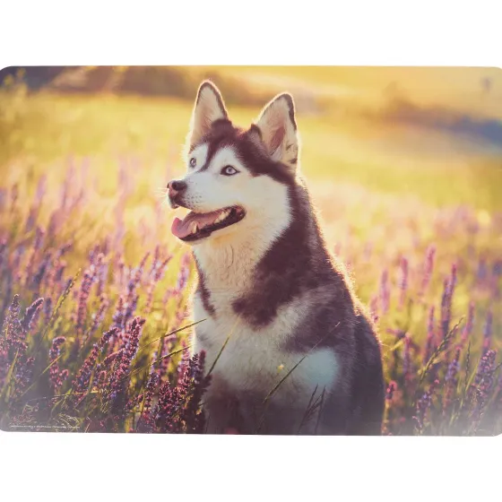 teken-en-knutselplacemat-uCoRMxjx-6.webp Outlet Royal Talens Teken- En Knutselplacemat Print