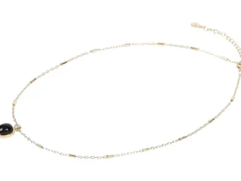 Hot Merk Vergulde Ketting Goud