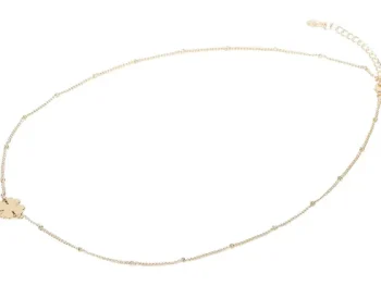 Hot Merk Vergulde Ketting Goud