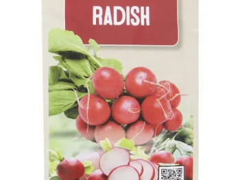 Outlet Green Boots Zaden Geen Kleur